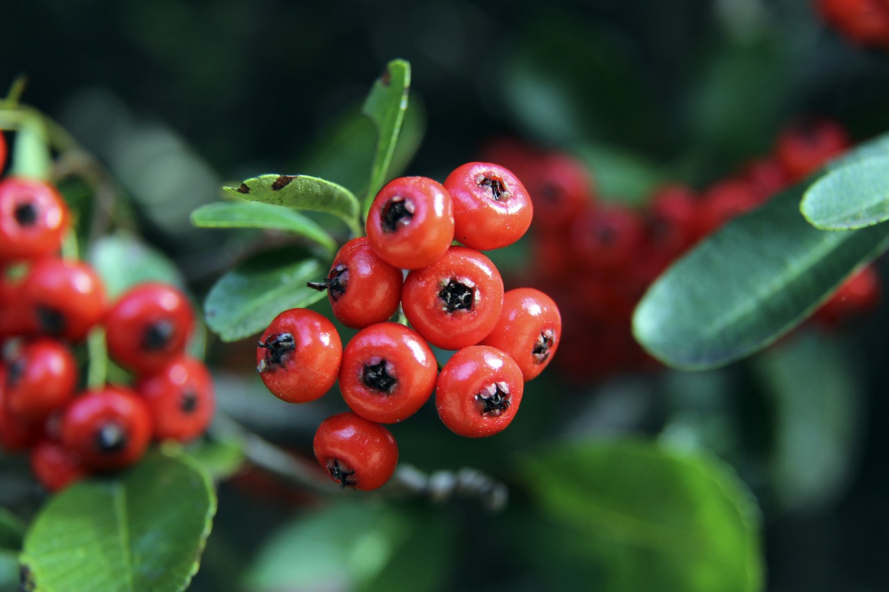 埃基蒂克：斯洛特在训练中对我很严厉，有时我真的会被气到爆