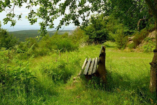 马德兴：中国足球管理组织没上道，没有协调好内卷和外战矛盾